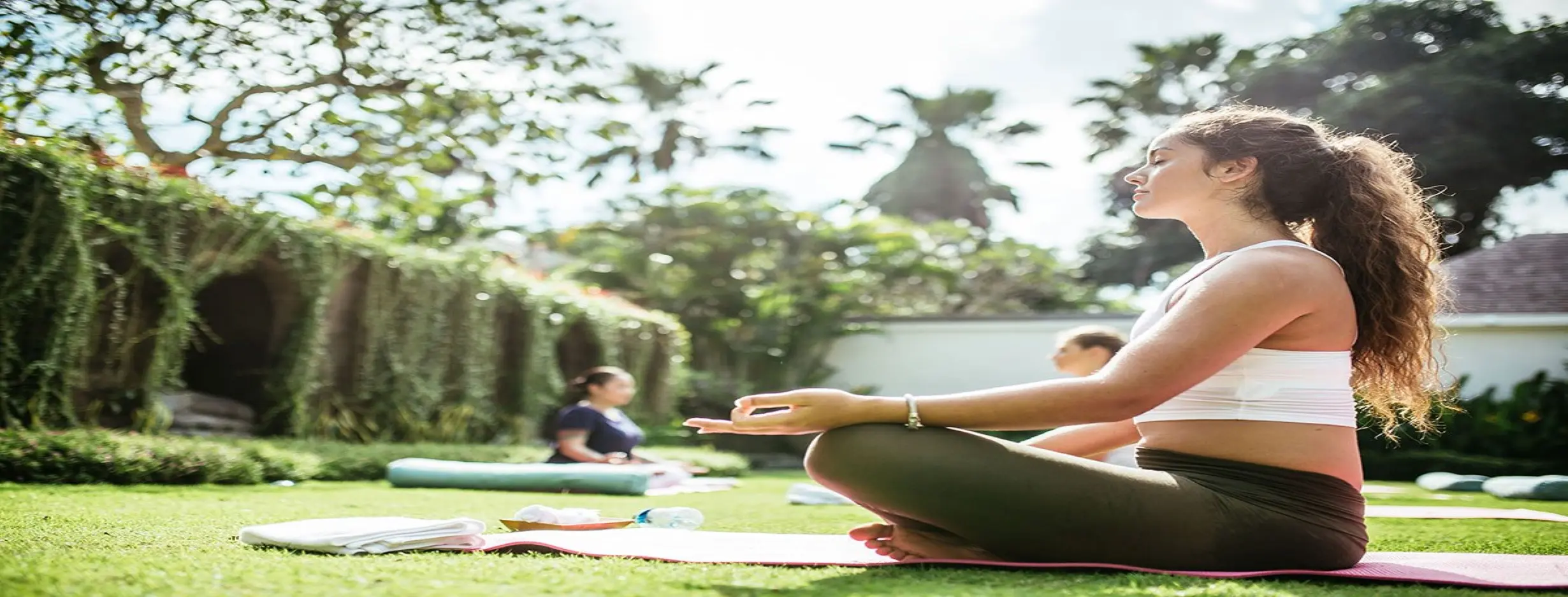 Image for Wellness Haven